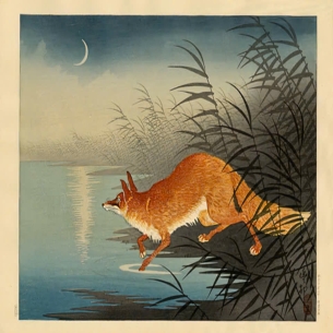 Tranh in khắc gỗ Nhật Bản - Tác phẩm:CÁO BÊN HỒ DƯỚI ÁNH TRĂNG (月夜の池辺の狐) 